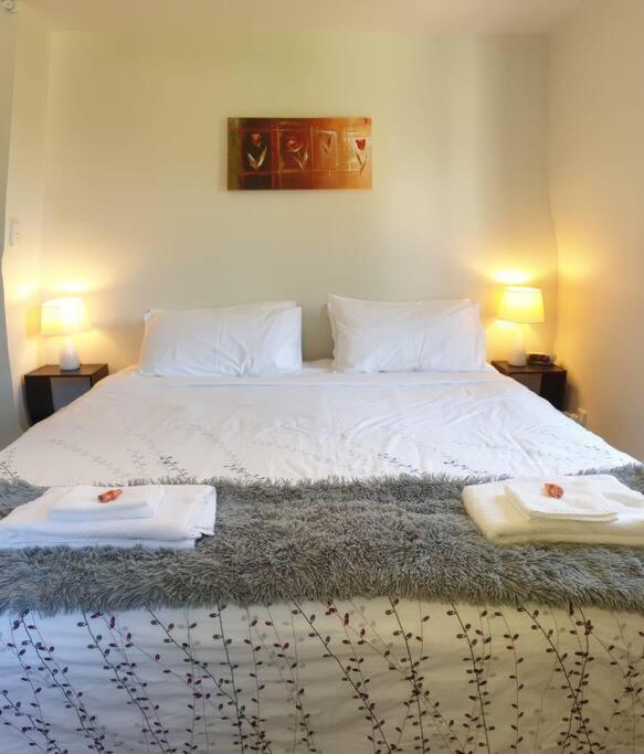 Central Cozy House - 10 Min Walk To Town 皇后镇 外观 照片